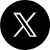 x icon